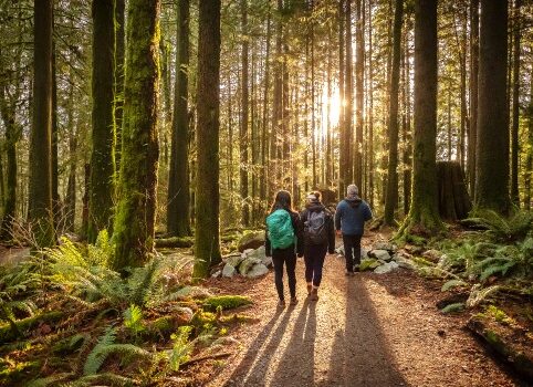 Nature Trail with travelers walking