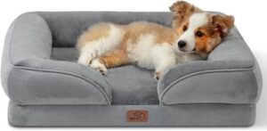 orthopedic dog bed